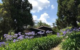 Lindo e aconchegante chalé com piscina, lareira e churrasqueira